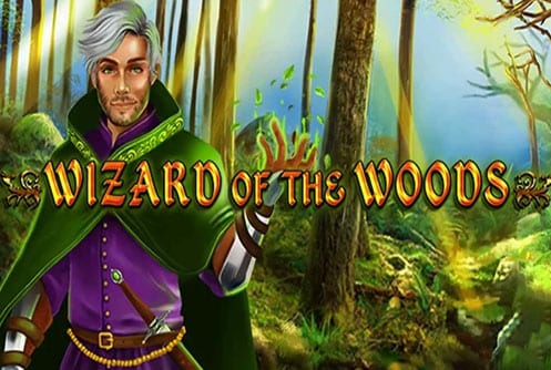Wizard of the woods slot