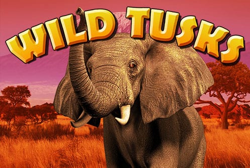 Wild Tusks Slot