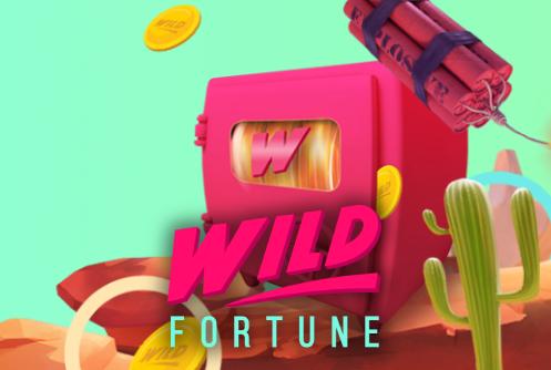 Wild Fortune Casino Welcome Bonus