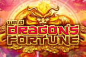 Wild Dragon's Fortune Slot