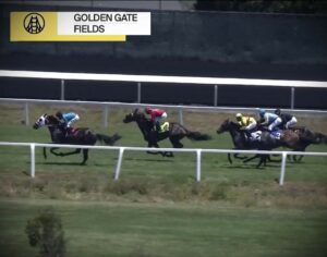 Goldenrace Horse Racing